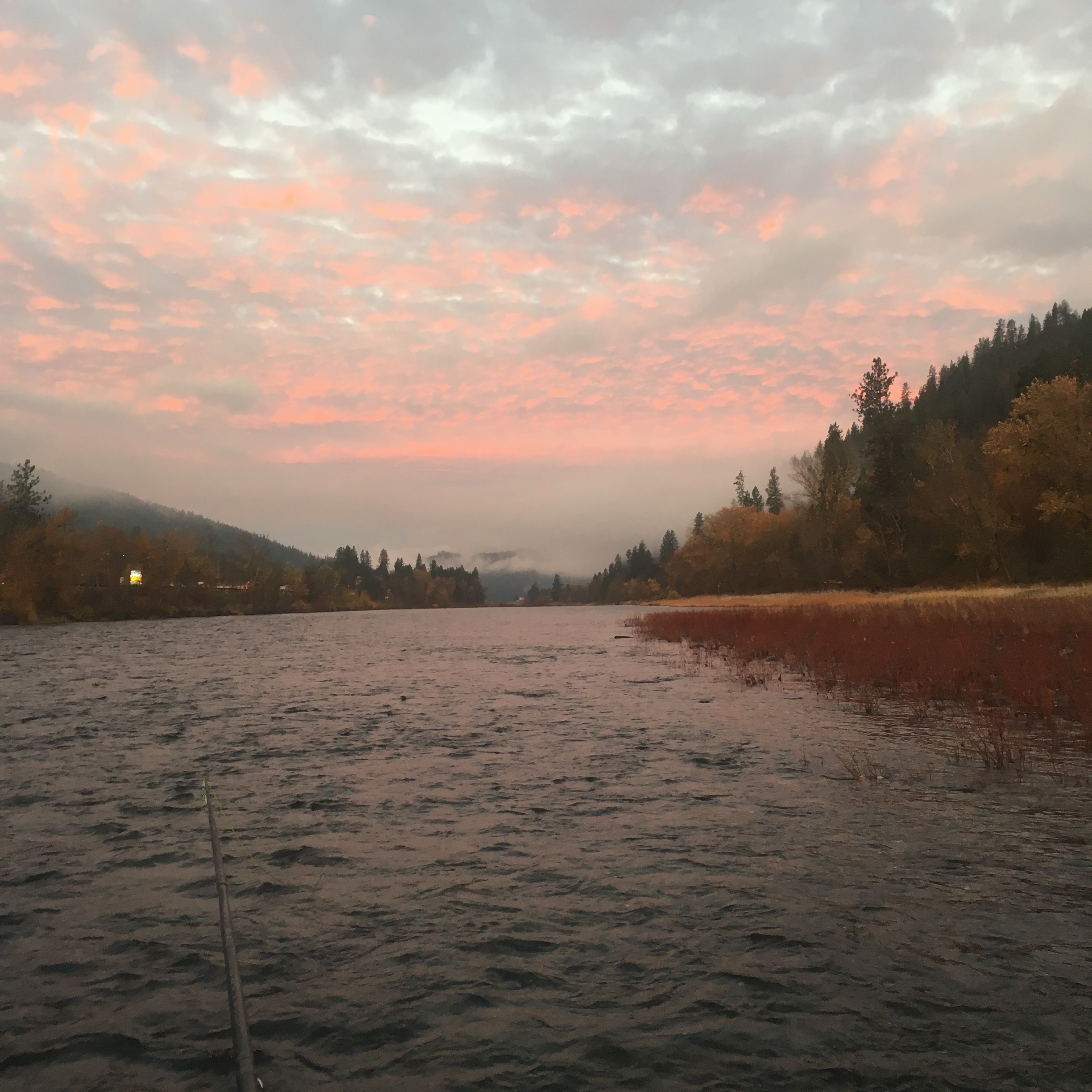 Swinging  - The Clearwater River - Orifino Id.